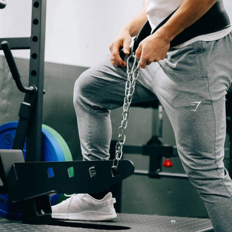 Titanium Strength | EL-PL9 | Belt Squat Elite Series Titanium Strength