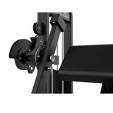 Titanium Strength Elite Series Dual Bicep Curl and Tricep Extension Machine Titanium Strength