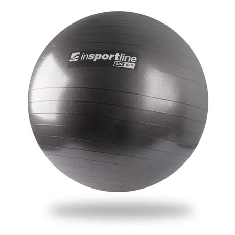 inSPORTline Exercise Ball 65 cm Lite Ball Stable Non‑Slip Balance Trainer InSportLine
