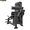 Genesis Series Ruckenstreckung machine from Titanium Strength in a professional fitness environment.