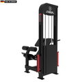 Elite Series Titanium Strength Selectorised Ultimate Back Extension Machine in a modern gym setting