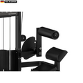 Elite Series Titanium Strength Selectorized Back Extension Machine in a modern gym setting