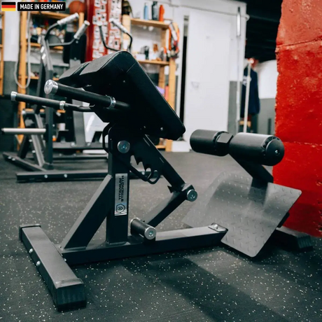 "Titanium Strength Hyperextension Roman Chair for lower back training."

