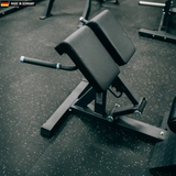 "Titanium Strength Hyperextension Roman Chair for lower back training."

